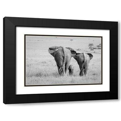 Three Butts! Black Modern Wood Framed Art Print with Double Matting by Khataw, Ali