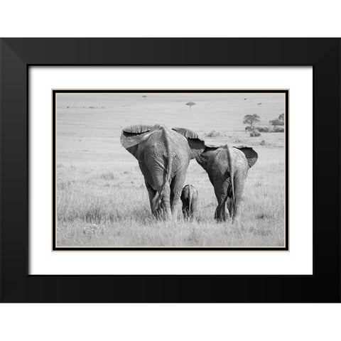 Three Butts! Black Modern Wood Framed Art Print with Double Matting by Khataw, Ali