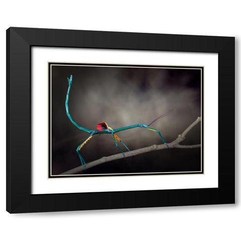 Threat Display Black Modern Wood Framed Art Print with Double Matting by Hoffman, Jimmy