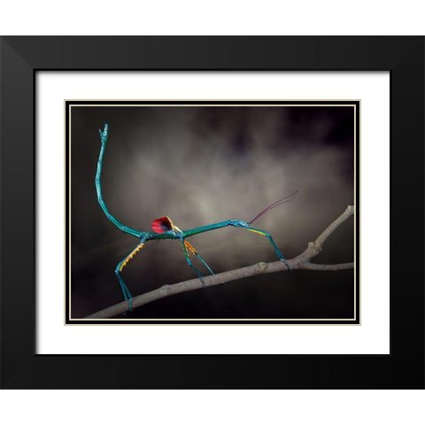 Threat Display Black Modern Wood Framed Art Print with Double Matting by Hoffman, Jimmy