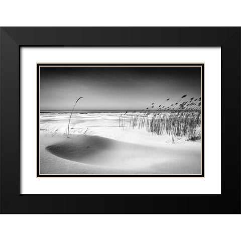 Orchestra Black Modern Wood Framed Art Print with Double Matting by Cirulis, Reinis