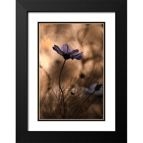 The Dancing Queen Black Modern Wood Framed Art Print with Double Matting by Bravin, Fabien