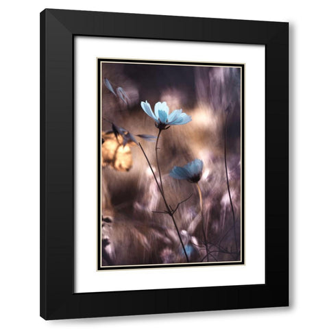 Lueur Dautomne Black Modern Wood Framed Art Print with Double Matting by Bravin, Fabien