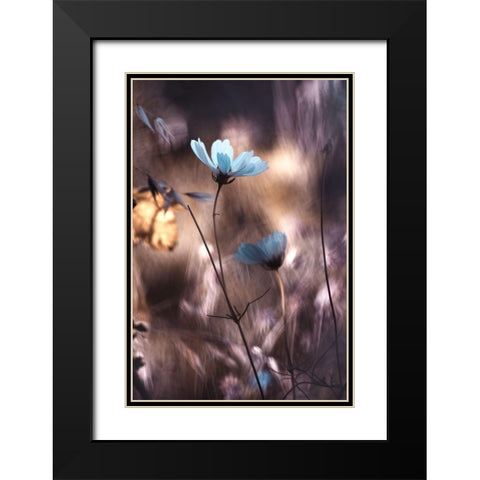 Lueur Dautomne Black Modern Wood Framed Art Print with Double Matting by Bravin, Fabien