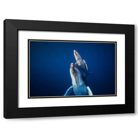 Come Back To The Surface Black Modern Wood Framed Art Print with Double Matting by Gabriel, Barathieu
