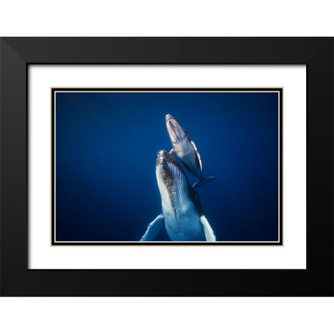 Come Back To The Surface Black Modern Wood Framed Art Print with Double Matting by Gabriel, Barathieu