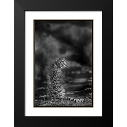 The Look Back Black Modern Wood Framed Art Print with Double Matting by Marx, Jaco