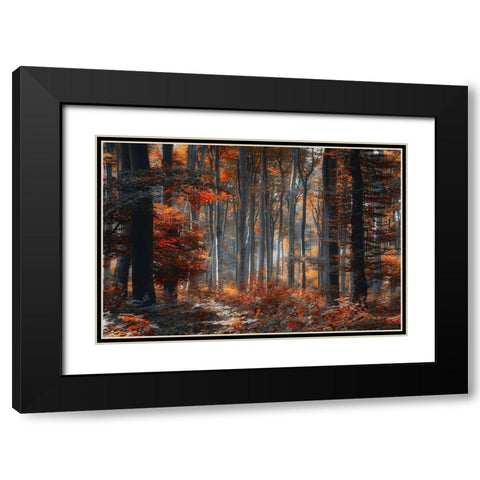Painting Forest Black Modern Wood Framed Art Print with Double Matting by Neer, Ildiko
