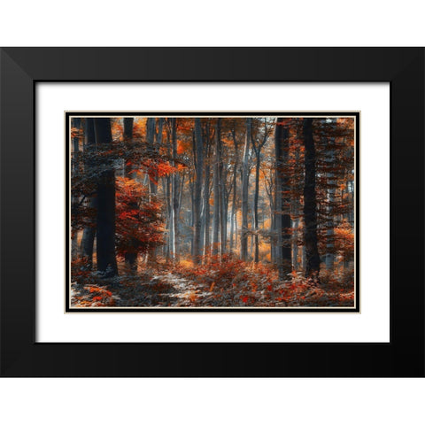 Painting Forest Black Modern Wood Framed Art Print with Double Matting by Neer, Ildiko