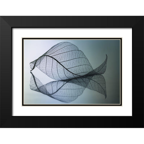 Curvaceousness Black Modern Wood Framed Art Print with Double Matting by Kowatari, Shihya