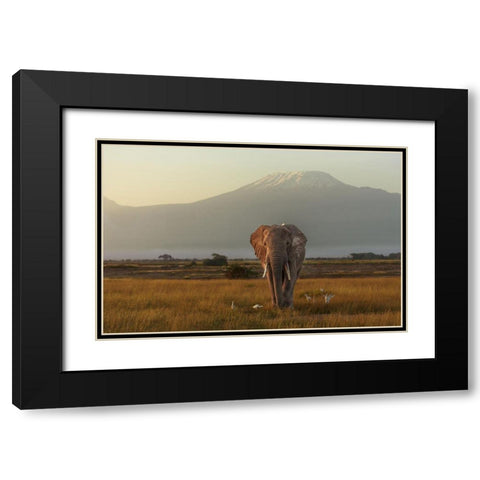 Under The Roof Of Africa Black Modern Wood Framed Art Print with Double Matting by Mei, Massimo