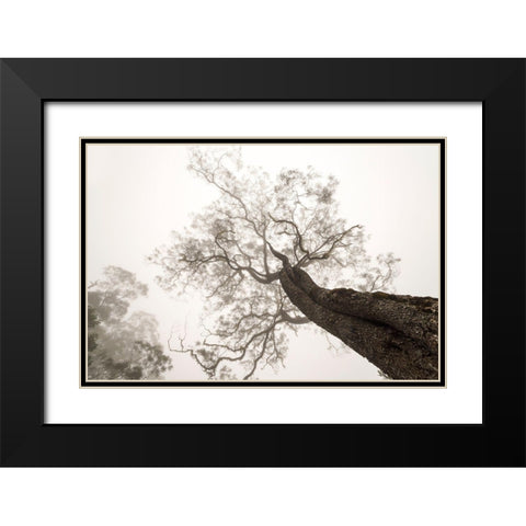 Between Heaven And Earth Black Modern Wood Framed Art Print with Double Matting by Wrobel, Karsten