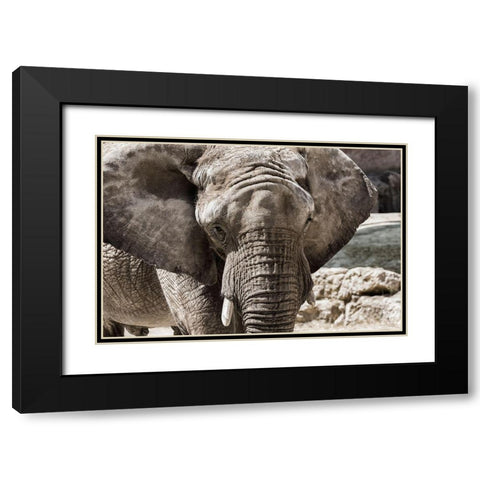 The Boss Black Modern Wood Framed Art Print with Double Matting by Araujo, Nuno