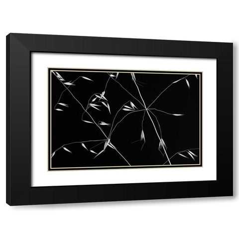 Crossed Lines Black Modern Wood Framed Art Print with Double Matting by Azevedo, Olavo