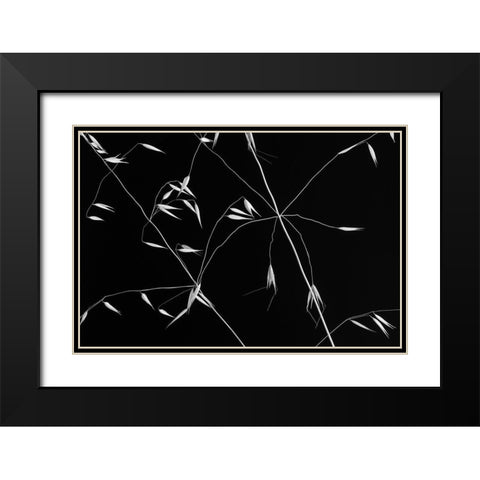 Crossed Lines Black Modern Wood Framed Art Print with Double Matting by Azevedo, Olavo
