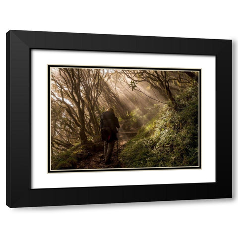 Through The Enchanted Forest Black Modern Wood Framed Art Print with Double Matting by Wrobel, Karsten