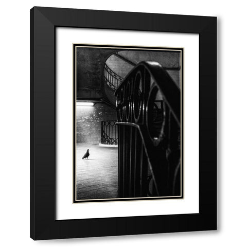 Big Bird In A Small Cage Black Modern Wood Framed Art Print with Double Matting by Mexia, Laura