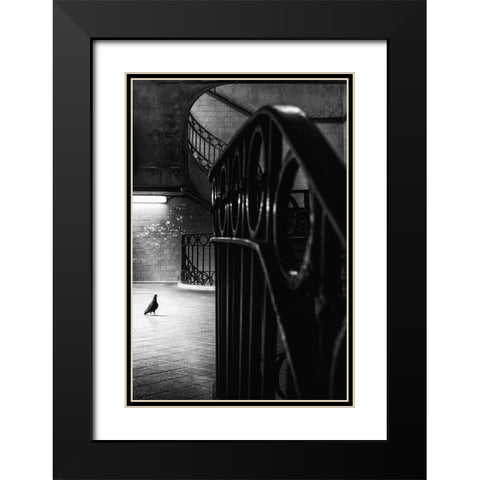 Big Bird In A Small Cage Black Modern Wood Framed Art Print with Double Matting by Mexia, Laura