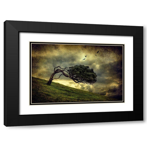 Winds Of Change Black Modern Wood Framed Art Print with Double Matting by Elgar, Peter