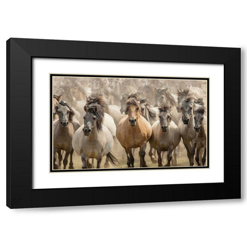 Gallop Black Modern Wood Framed Art Print with Double Matting by Uhlig, Dieter
