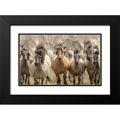 Gallop Black Modern Wood Framed Art Print with Double Matting by Uhlig, Dieter