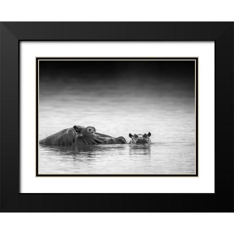Eye Level Black Modern Wood Framed Art Print with Double Matting by Marx, Jaco