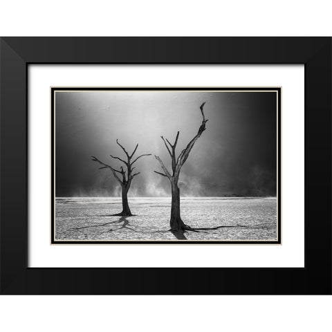 Afterlife Black Modern Wood Framed Art Print with Double Matting by Fegari