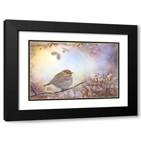 Robin On Dreams Black Modern Wood Framed Art Print with Double Matting by Teuni