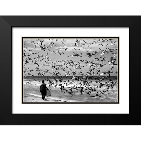 Birds Birds Black Modern Wood Framed Art Print with Double Matting by Van Der, Liesbeth