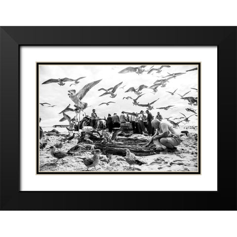 Birds Black Modern Wood Framed Art Print with Double Matting by van der, Liesbeth