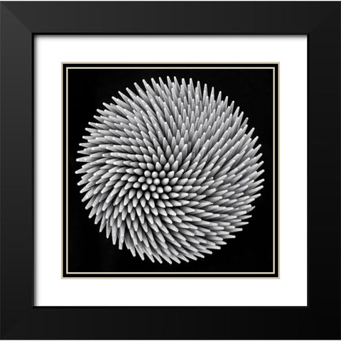 Hypnosis Black Modern Wood Framed Art Print with Double Matting by Toniolo, Giorgio