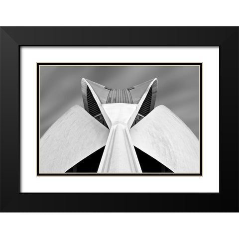 Calatrava Black Modern Wood Framed Art Print with Double Matting by Van Zaane, Alida