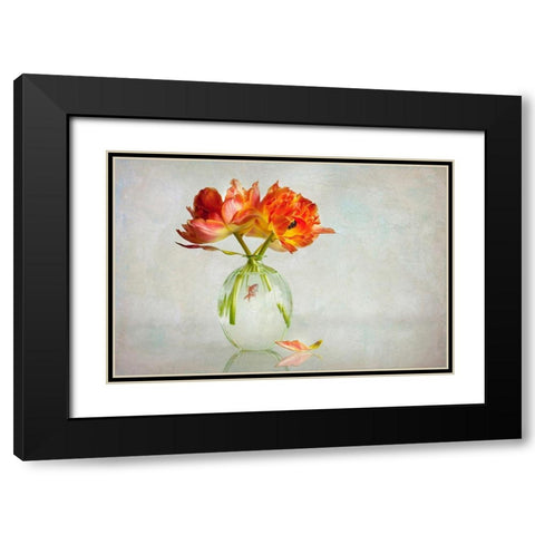 Untitled Black Modern Wood Framed Art Print with Double Matting by Van Zaane, Alida