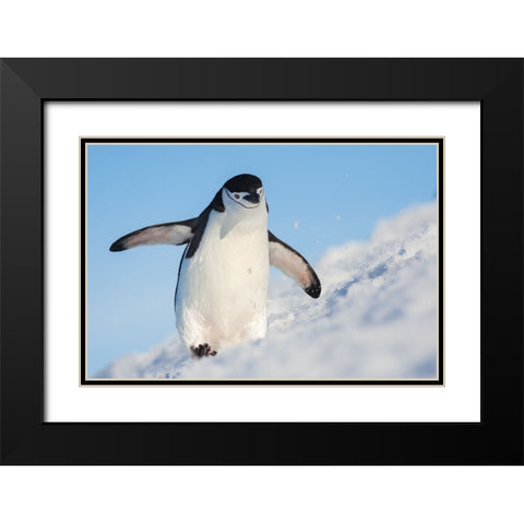 Running Up That Hill Black Modern Wood Framed Art Print with Double Matting by Breuker, Hillebrand