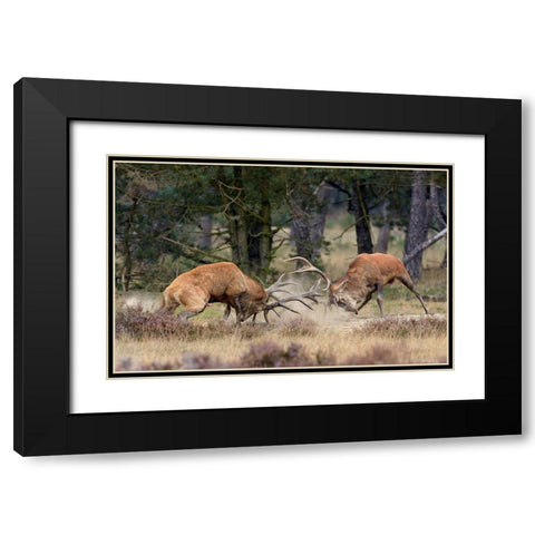 Clash Of The Titans Black Modern Wood Framed Art Print with Double Matting by Janssens, Roelof