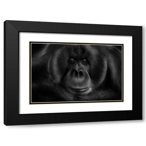 Maurice Black Modern Wood Framed Art Print with Double Matting by Wildkay
