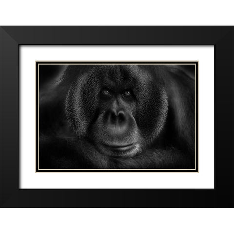 Maurice Black Modern Wood Framed Art Print with Double Matting by Wildkay