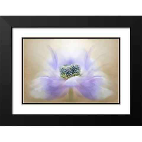 Breeze Black Modern Wood Framed Art Print with Double Matting by Parker, Jacky