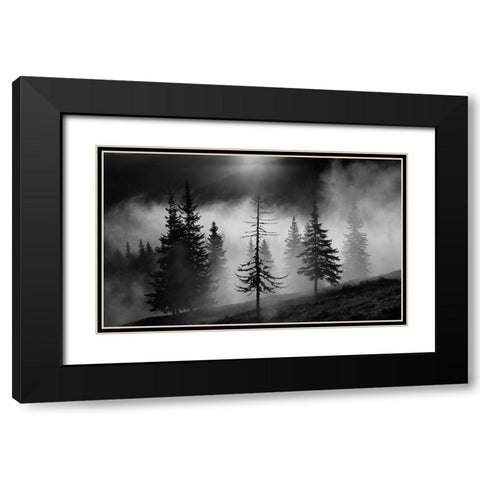 Misty Forest Black Modern Wood Framed Art Print with Double Matting by Oncete, Julien