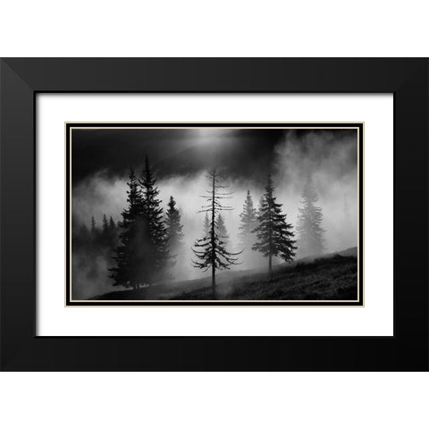 Misty Forest Black Modern Wood Framed Art Print with Double Matting by Oncete, Julien
