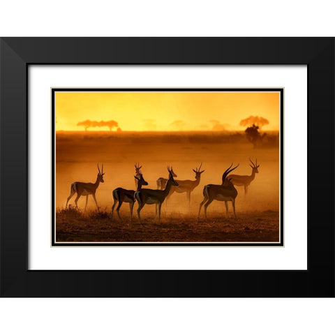 Golden Light Black Modern Wood Framed Art Print with Double Matting by Guillemot, Mathilde