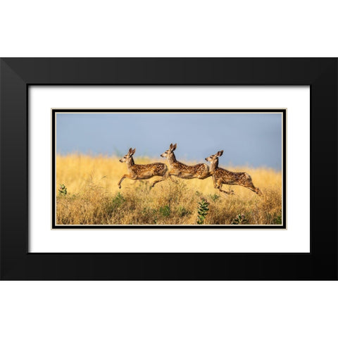 Tripple Jump Black Modern Wood Framed Art Print with Double Matting by Verdon