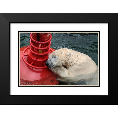 My Buoy A My Melon Black Modern Wood Framed Art Print with Double Matting by Wenner-Braun, Antje