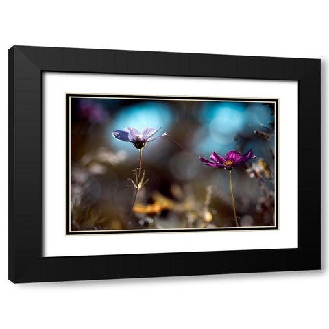 Le Lien Black Modern Wood Framed Art Print with Double Matting by Bravin, Fabien