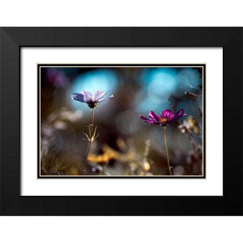 Le Lien Black Modern Wood Framed Art Print with Double Matting by Bravin, Fabien