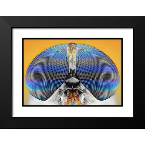 Untitled Black Modern Wood Framed Art Print with Double Matting by Jusa, Donald