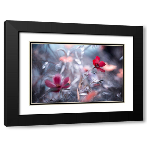 Une Fleur-Une Histoire Black Modern Wood Framed Art Print with Double Matting by Bravin, Fabien