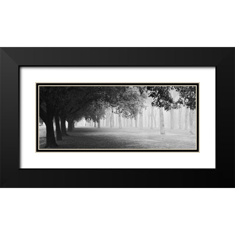 Morning Fog Black Modern Wood Framed Art Print with Double Matting by Chiarello, Matteo
