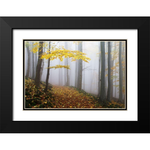 Untitled Black Modern Wood Framed Art Print with Double Matting by Rak, Martin