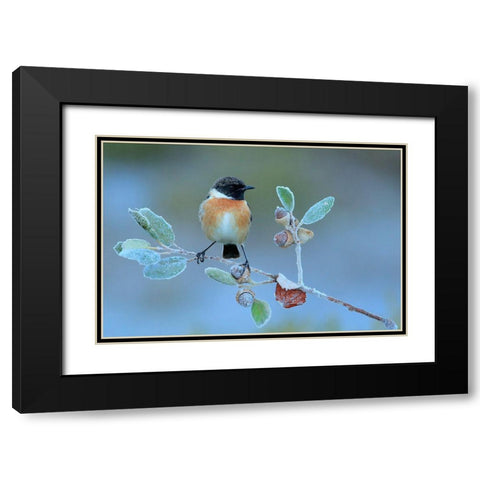 Hard Winter Black Modern Wood Framed Art Print with Double Matting by Miguel Dominguez, Andres